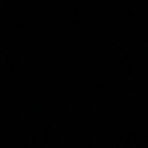 Meet your Posher, Moises